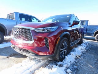 2024 INFINITI QX60 AUTOGRAPH